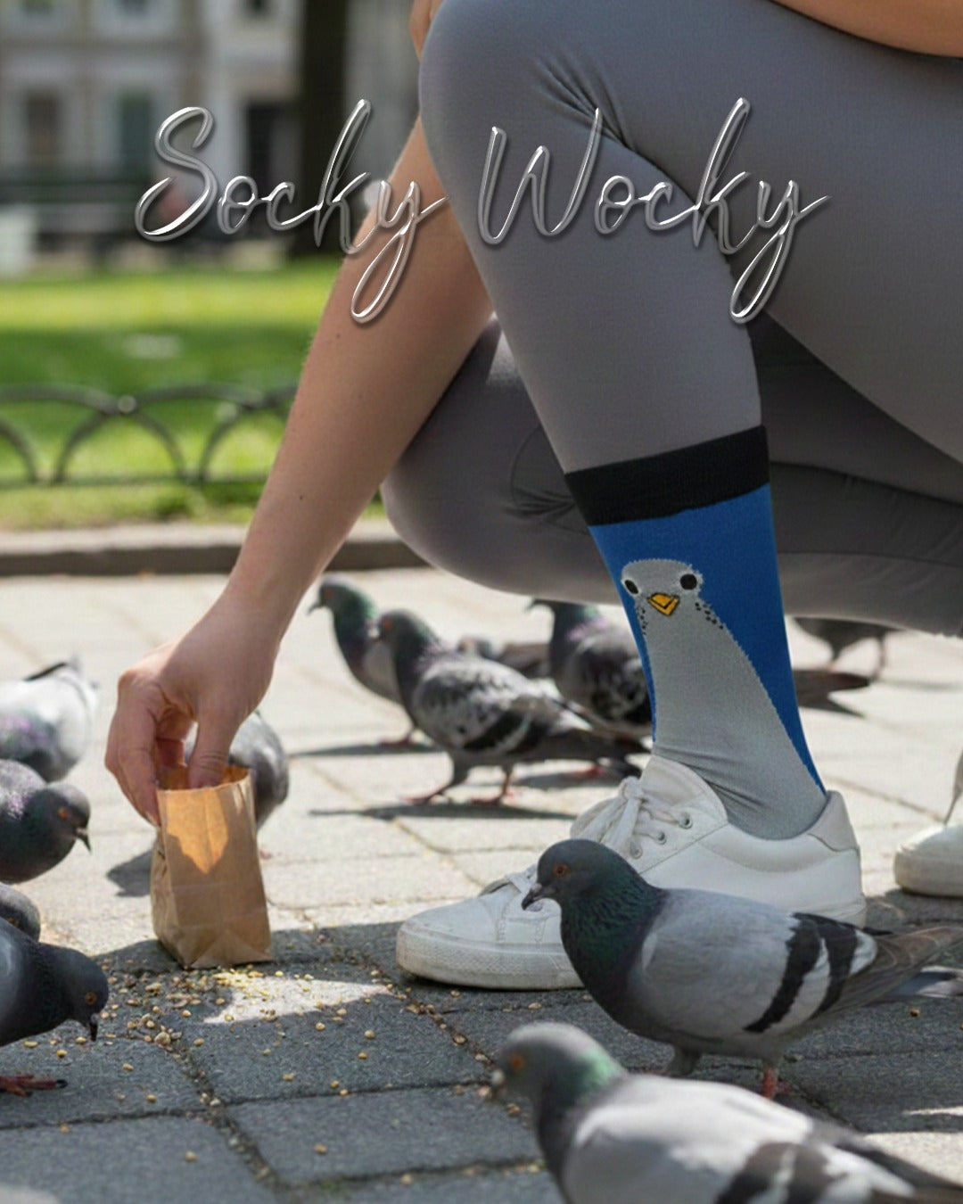 Pigeon Socks City Bird Collection